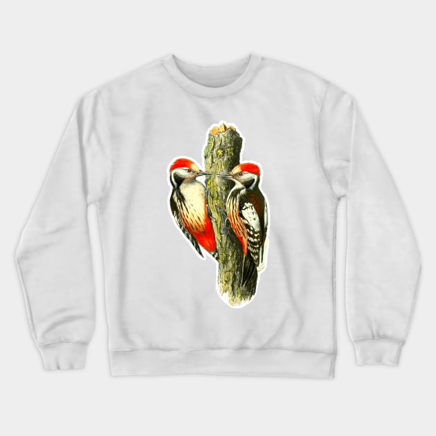 Red tufted finch on tree trunk Crewneck Sweatshirt by Marccelus